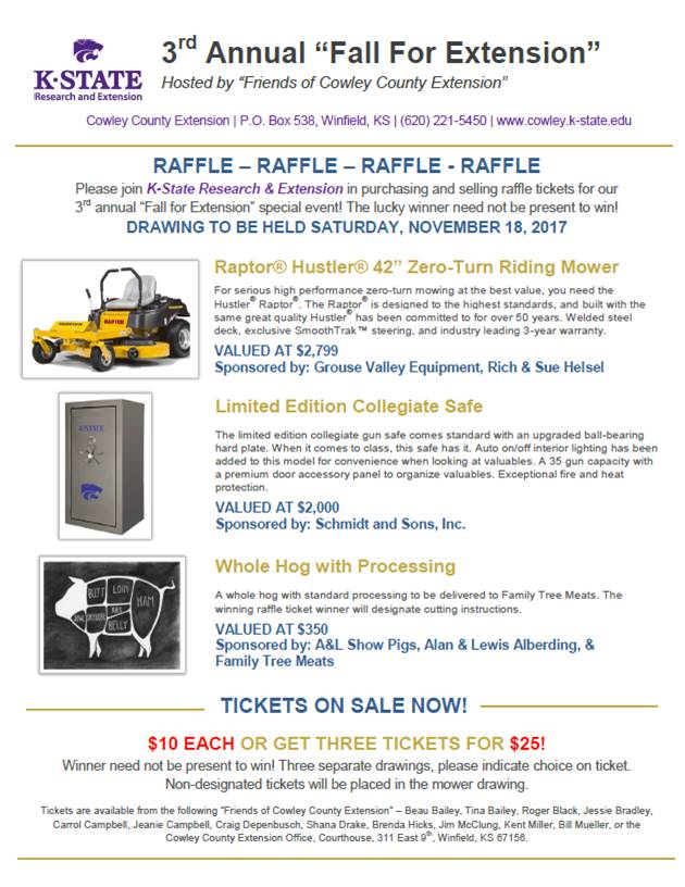 Raffle flyer